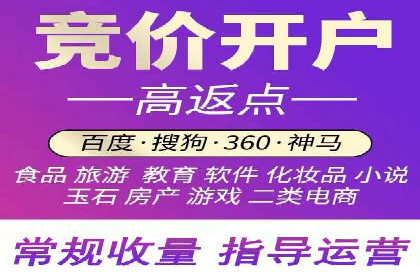 百度竞价广告运营全解析：成功案例揭秘